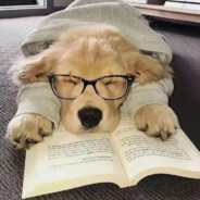 泥头车创创子创谁谁马s