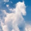 Cloudhorse6