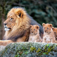 ki滋咩喏咔ki滋咩喔拖ki哈呐呆