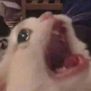 Ирина Лопатница