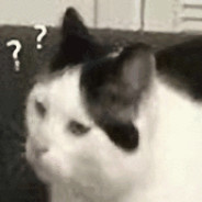 混元形意掌门马保国