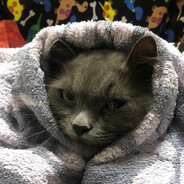 mkt k0bby - steam id 76561198334403359