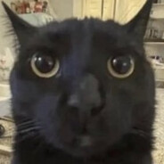sqwirtz