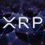 XRPWARRIOR212