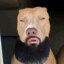No_Dog21