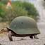 TurtleSoldier