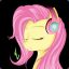 new acc(add) (Nellok22)
