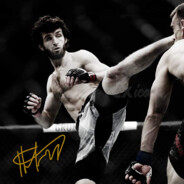 Rycerz Lorda Kastiego