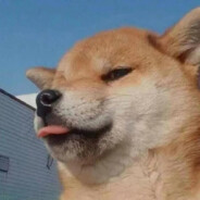 比奇包突破手海绵宝宝