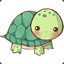 MR.Turtle