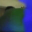 KermitTheFraud