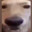 Butta Dawg