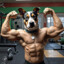 Yappy_Biceps