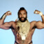 Mr.T