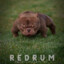 REDRUM