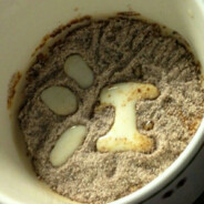 狗重生什么jb排位机制