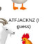 atfjacknz