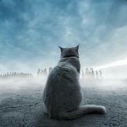 开了吗？我说灵智