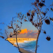 请叫我战神之永生