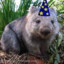 BlueMagicWombat