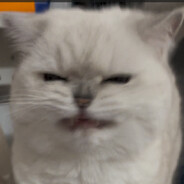 老椰子酱（社畜版）