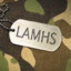 LamHs