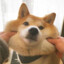 W丶Sen