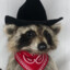 Guaxinim_cowboy