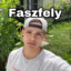 Faszfely