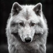 White Wolf