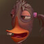 Cloaca Connoisseur