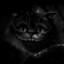 Cheshire_cat