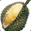 Durian`