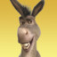 [PBS] Donkey