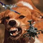 MadDog-IC
