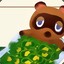 Tom Nook