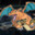CharizAWP