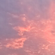 搞不到钱的马总