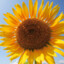 Floopy_007