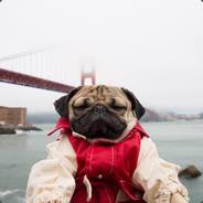 Pug The Drug