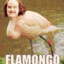 Flamongo