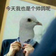 霓🕊鴿
