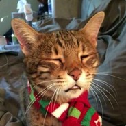 看你妈个咪咪小水母 还要放到锅头煮