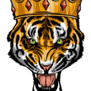 Cadet Tiger