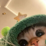 守在哪里都得崩