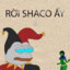 ROI SHACO AY