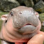 rodrigo_.___