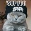 Gumb0Dubstep