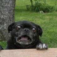 Джулиан_Ебашащий