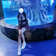 冰感苏菲，大显神威